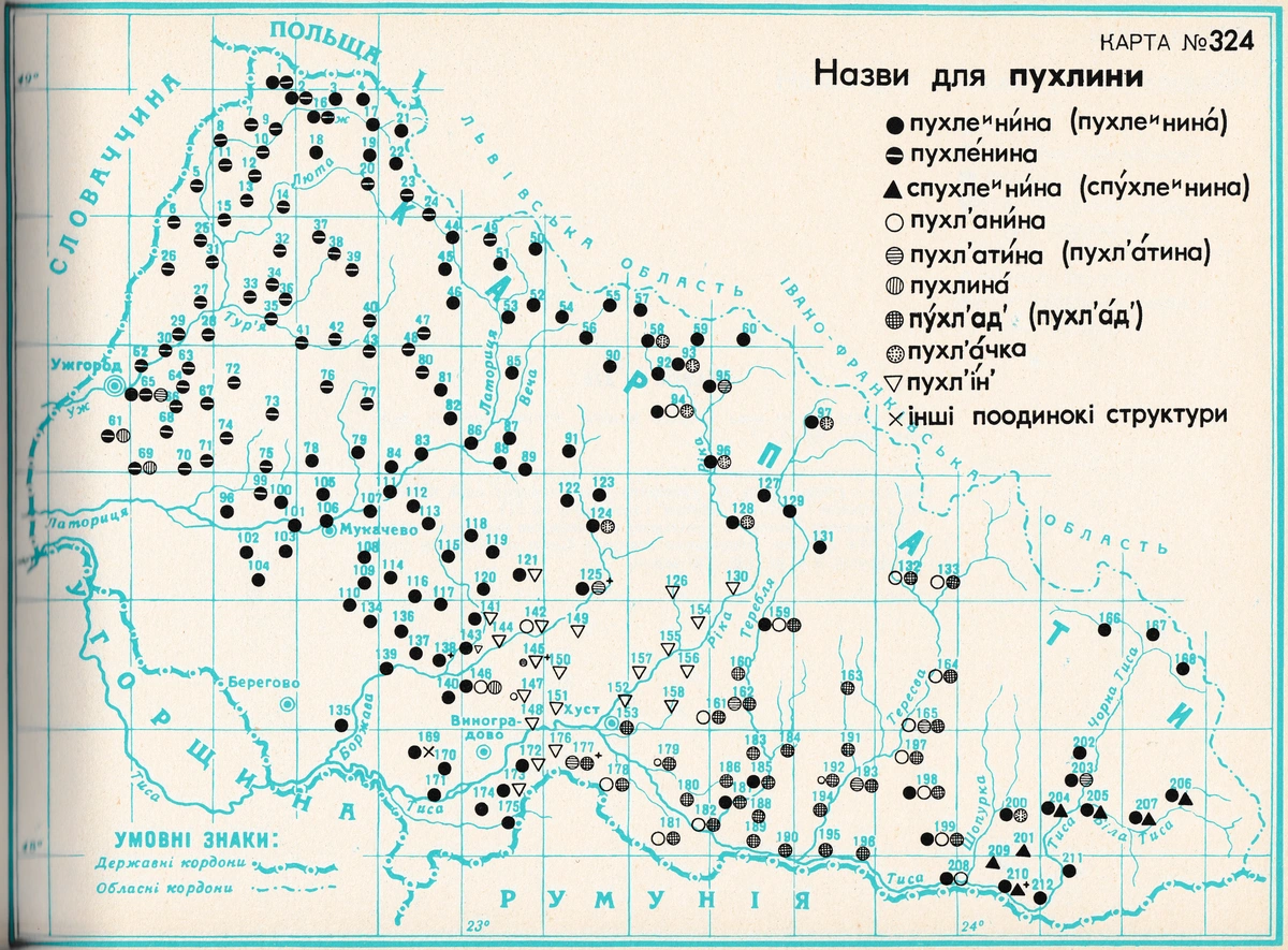 #324 Пухленина